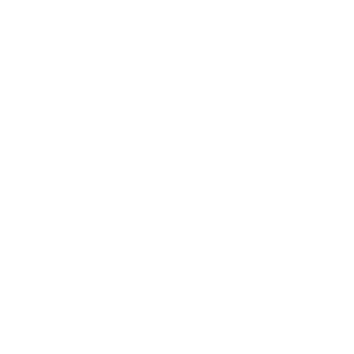 ADJ