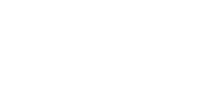 INA